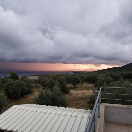 Panoramic View Summerhouse Loukissia 外观 照片