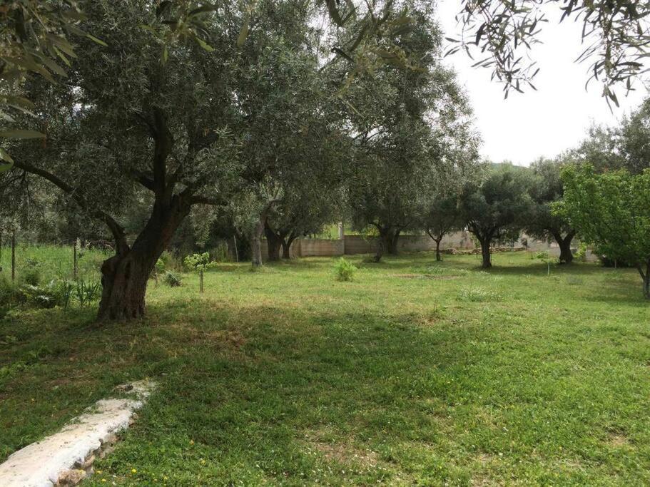 Panoramic View Summerhouse Loukissia 外观 照片