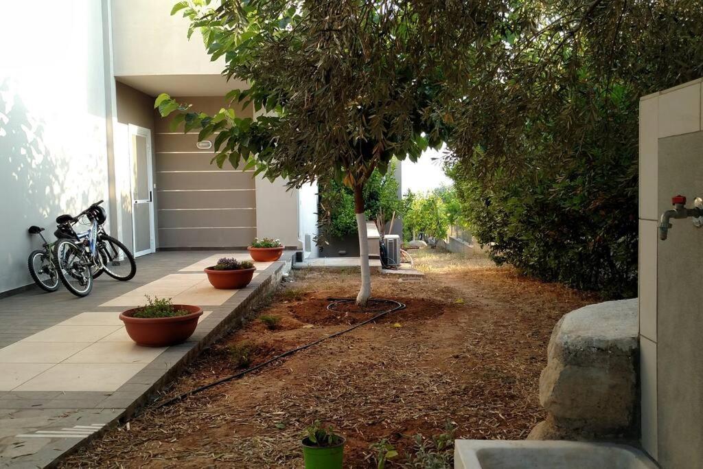 Panoramic View Summerhouse Loukissia 外观 照片