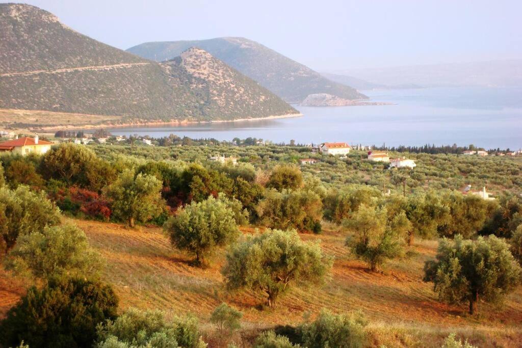 Panoramic View Summerhouse Loukissia 外观 照片