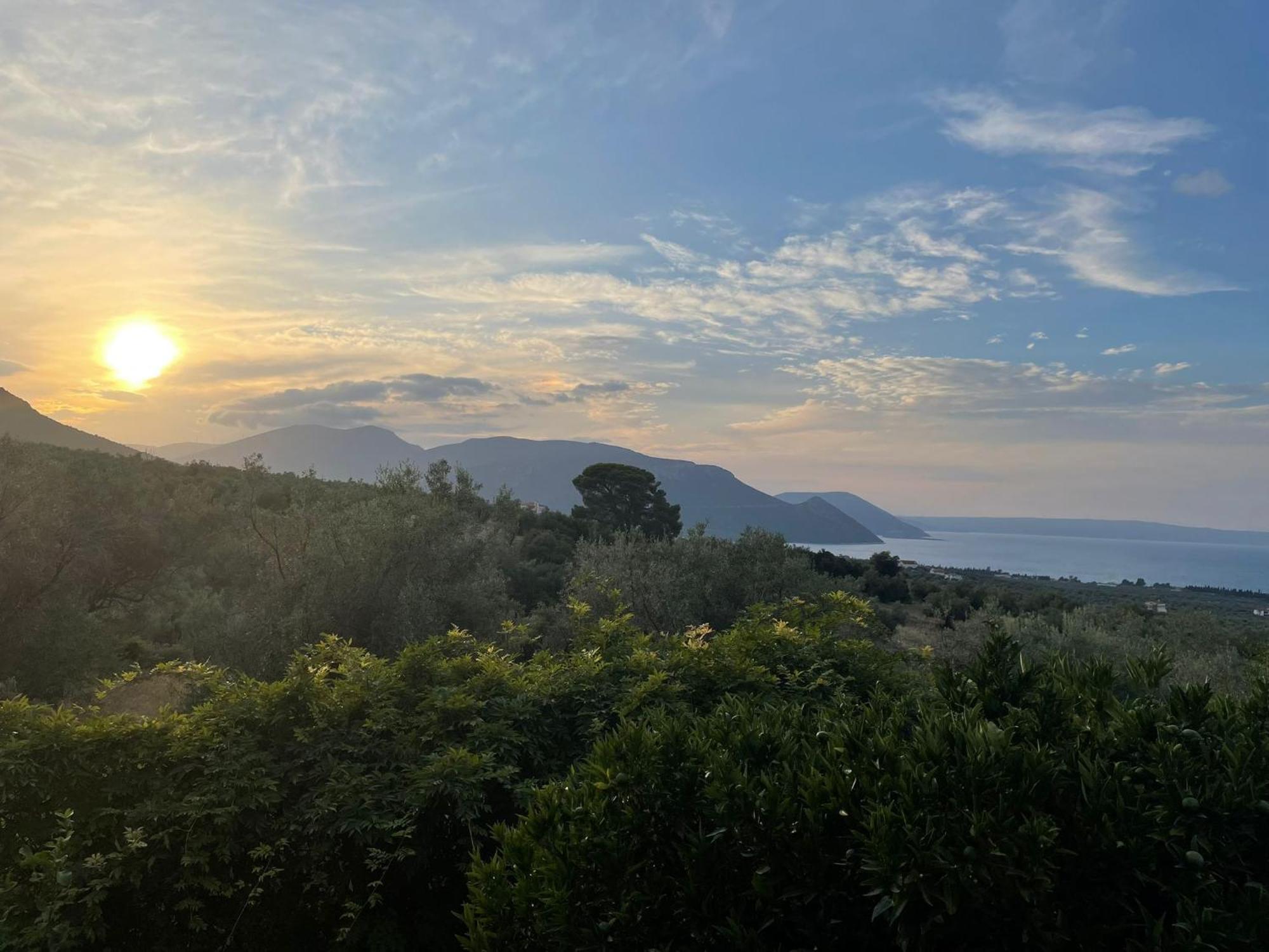 Panoramic View Summerhouse Loukissia 外观 照片